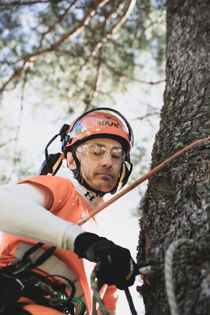 Tree Pruning Techniques